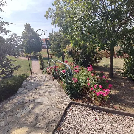 In Csopak/balaton 18320 Csopak